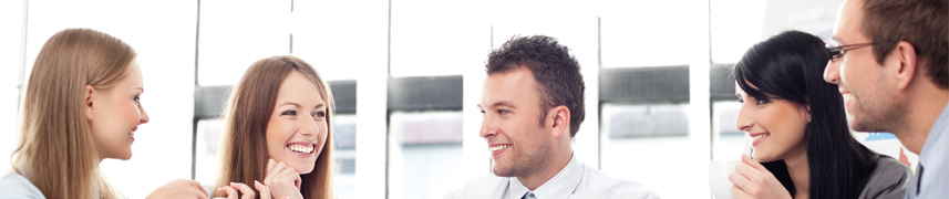 Phasellus accumsan cursus velit 4